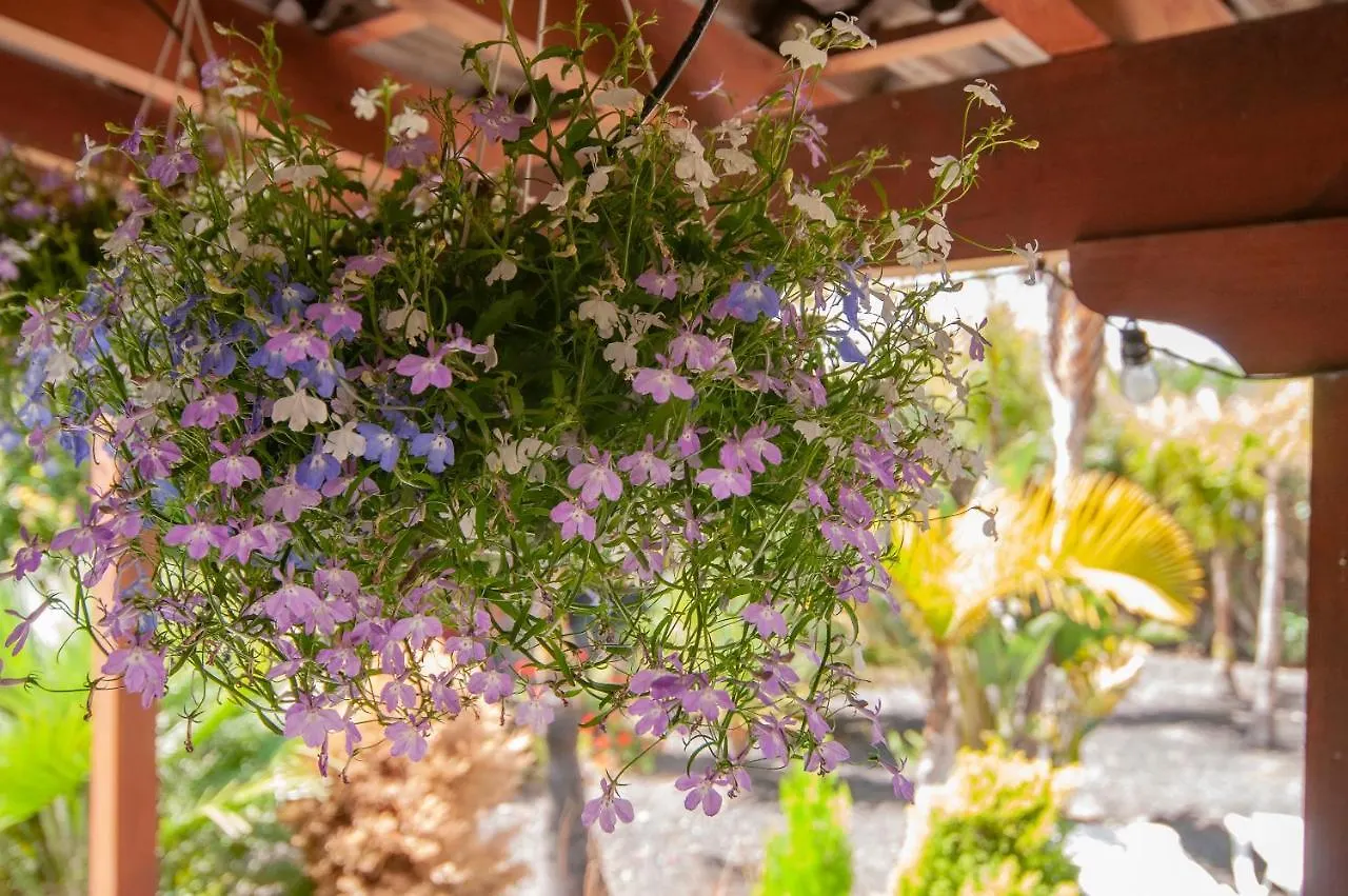 Ferienhaus El Rincon Del Huroncillo Tejina